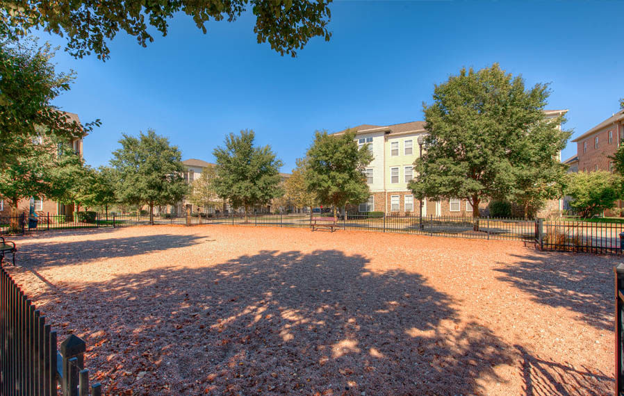 Let your dog run in a dog park, like the one at Legacy apartments in Carmel. Wide open dog park at Fishers apartments.